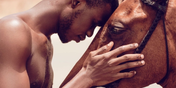 Bitcoin’in Yaratıcısı Satoshi Nakamoto ile İlgili Yeni Teori: 2011’de Öldü